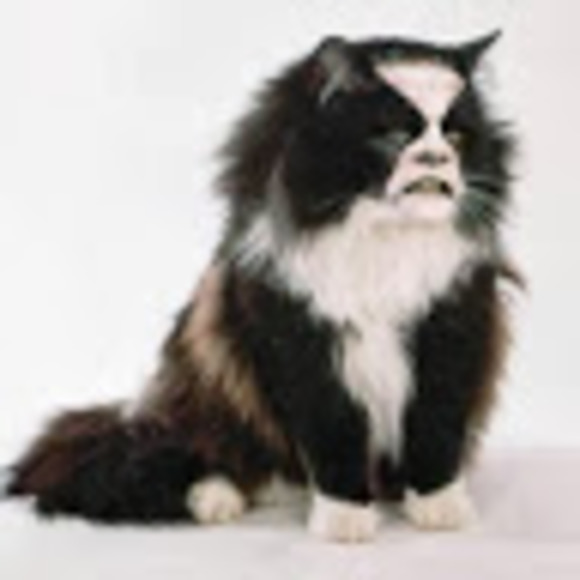 Profile Picture of David Crisafi (@crisafidavid) on Poshmark