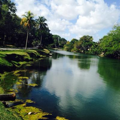 Profile Picture of Colin Dunleavy (@ColinDunleavy) on Twitter