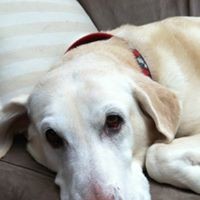 Profile Picture of Frank Daniel Putrino (@frank-daniel-putrino) on Quora