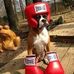Profile Picture of Tony DuVall (@thistledown.starfollower) on Facebook