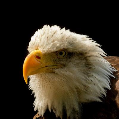 Profile Picture of Joshua Weyer (@number_j7) on Twitter