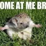 Profile Picture of Danny Monster Culligan (@danielculligan) on Instagram