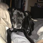 Profile Picture of peterconnerton (@peterconnerton) on Instagram