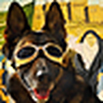 Profile Picture of Jared Davis (@jdavistex) on Flickr