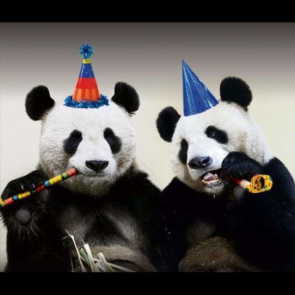 Profile Picture of Mike Mcgannon (@mcgcollectibles) on Poshmark