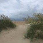 Profile Picture of Lynette Judy De Long (@lynettejudydelong.1) on Instagram