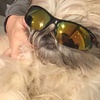 Profile Picture of JakeEpps (@@jakeepps) on Tiktok