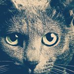 Profile Picture of darf der kevin spielen kommen (@martynkovacsnak) on Instagram