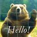 Profile Picture of Kevin Grantham (@kevinjgrantham) on Pinterest
