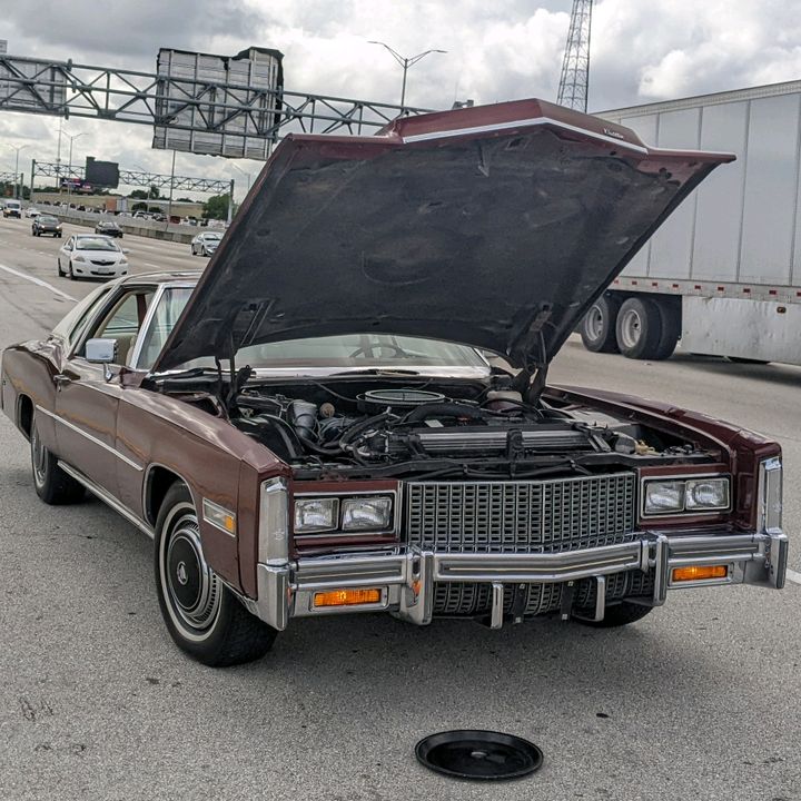 Profile Picture of Robert Passeri, Jr. (@robertpasserijr) on Tiktok