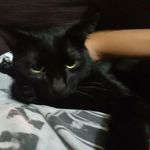 Profile Picture of Daniele caracozzi (@trill67892019) on Instagram