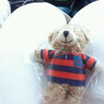 Profile Picture of Tetsuko Takahashi (@tetsukotakahashi) on Instagram