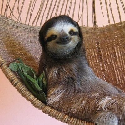 Profile Picture of Robert Mantell (@rmantell96) on Twitter