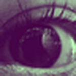Profile Picture of Laura M. Agredo Alegría (@laura agredo) on Flickr