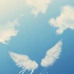 Profile Picture of Donna Fields (@donnainxenia) on Instagram