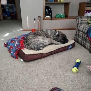 Profile Picture of Grant Slater (@GrantSlater50) on Twitter