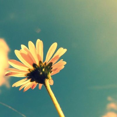 _Skyler.Snyder_ - Twitter Profile Picture of _Skyler.Snyder_ (@Skyler_hehe) on Twitter