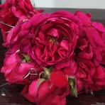 Profile Picture of Nabeel Shahid (@Nabeel-Shahid) on Facebook