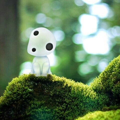 Profile Picture of sugarman (@sugar310000) on Tiktok