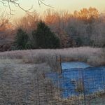 Profile Picture of jason_dunlap_ (@jason_dunlap_) on Instagram