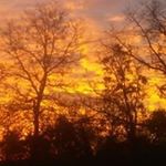 Misty D Foust - Instagram Profile Picture of Misty D Foust (@mistfoust5) on Instagram