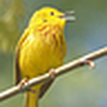 Profile Picture of Lloyd Jordan (@lloyd26) on Flickr