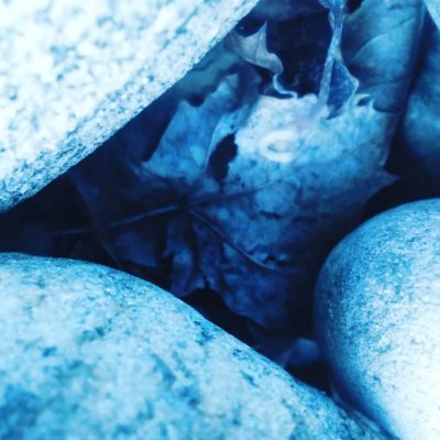 Profile Picture of Angelo Murphy (@angelomurphy9) on Twitter