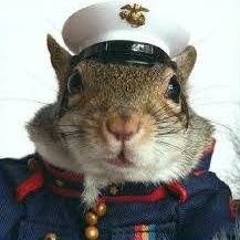 Profile Picture of Christopher Pickens (@SgtPick) on Twitter