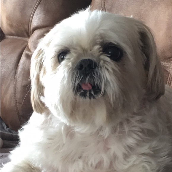 Profile Picture of Rylee Bessmer (@ryleebessmer) on Poshmark