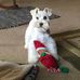 Profile Picture of Barry L Allen (@barryl.allen.39) on Facebook