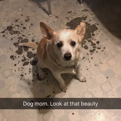 Profile Picture of Heather Ruschmeyer (@heatherlovu) on Twitter