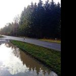 Profile Picture of tracey_waltersre (@tracey_waltersre) on Instagram