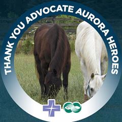 Profile Picture of Kathy Meyer O'Callag (@kathymeyerocallaghan) on Tiktok