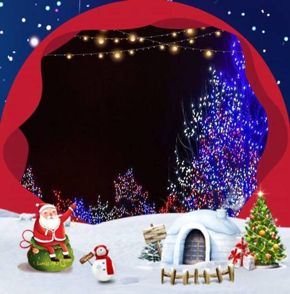 Profile Picture of Lori Bingamon (@lbing) on Poshmark