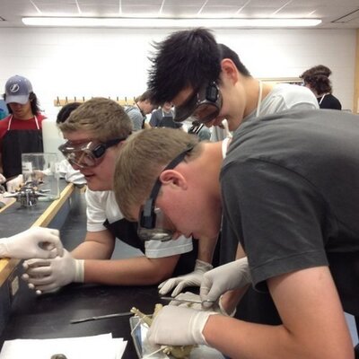 Profile Picture of Josh MacFarlane (@joshmac_31) on Twitter