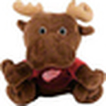 Profile Picture of Lisa Munroe (@adamsaunti) on Flickr