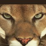 Andrew Sokolov - Instagram Profile Picture of Andrew Sokolov (@andrew_sokolow2006) on Instagram