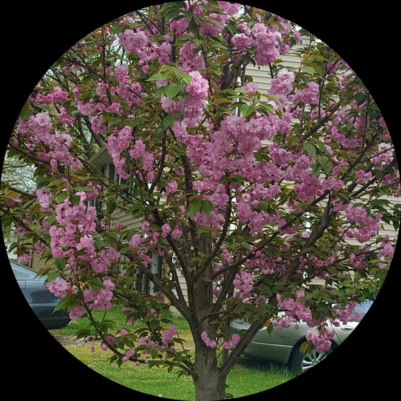 Profile Picture of Eleanor Jackson (@eleanor_jackson) on Poshmark