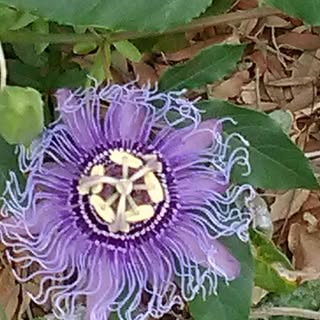 Profile Picture of Joseph Steckler (@stecklerjoseph) on Instagram