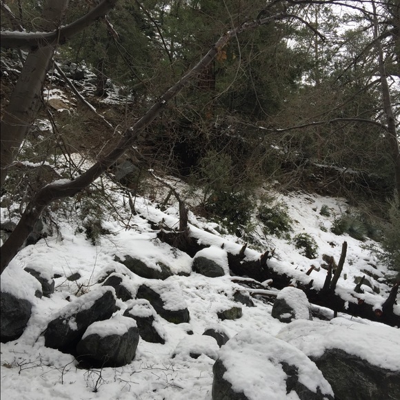 Profile Picture of Steve Torres (@steve_10) on Poshmark