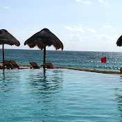 Profile Picture of Tracie Wallace (@traciewallace435) on Youtube