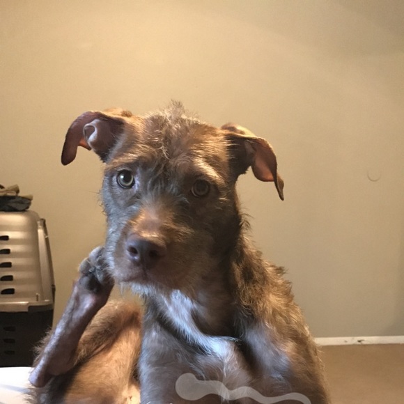 Profile Picture of Brett Ross (@bross225) on Poshmark