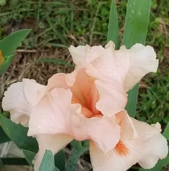 Profile Picture of Ruth Hartmann (@rhartmannx2) on Poshmark