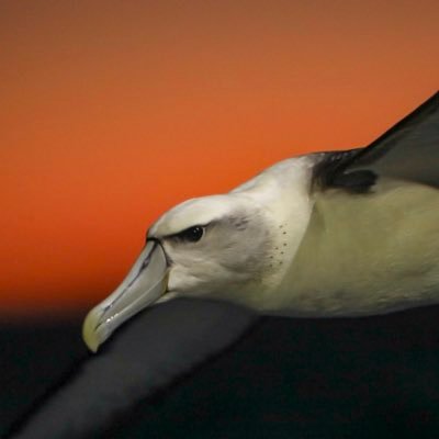 Profile Picture of Jase Of Base (@jase_b) on Twitter