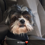 Profile Picture of Thomas Frechette (@thomasfrechette1244) on Youtube