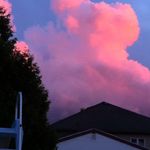 Profile Picture of Jo-Ann Reid (@reidjoann) on Instagram