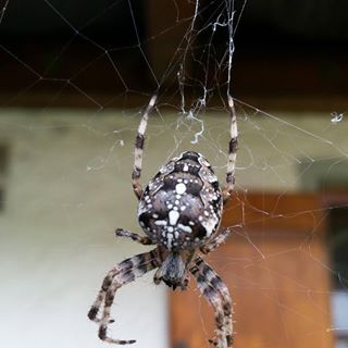 Profile Picture of Thomas Schmeiser (@thomas.schmeiser.10) on Facebook