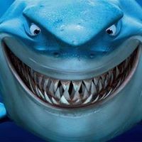 Profile Picture of Jesse Zamarron (@jesse-zamarron) on Quora