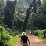 Profile Picture of ... (@matt____townsend) on Instagram