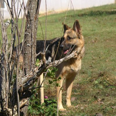 Kim Wallis - Twitter Profile Picture of Kim Wallis (@kimwallis02_kim) on Twitter